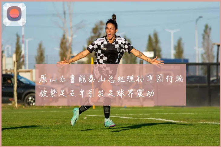 原山东鲁能泰山总经理孙华因行贿被禁足五年引发足球界震动